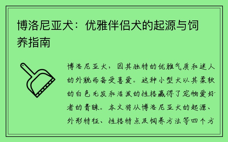 博洛尼亚犬：优雅伴侣犬的起源与饲养指南