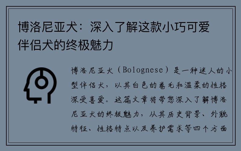 博洛尼亚犬：深入了解这款小巧可爱伴侣犬的终极魅力