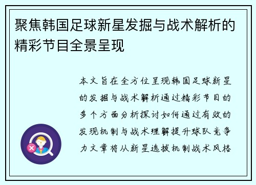 聚焦韩国足球新星发掘与战术解析的精彩节目全景呈现