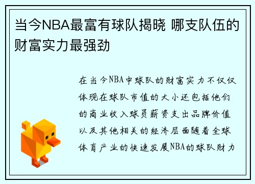 当今NBA最富有球队揭晓 哪支队伍的财富实力最强劲