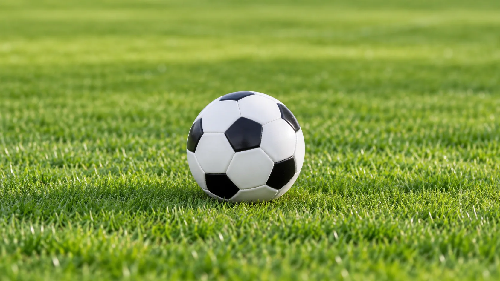 勒沃库森与流浪者队欧联杯对决谁能笑到最后一战成败在此一举